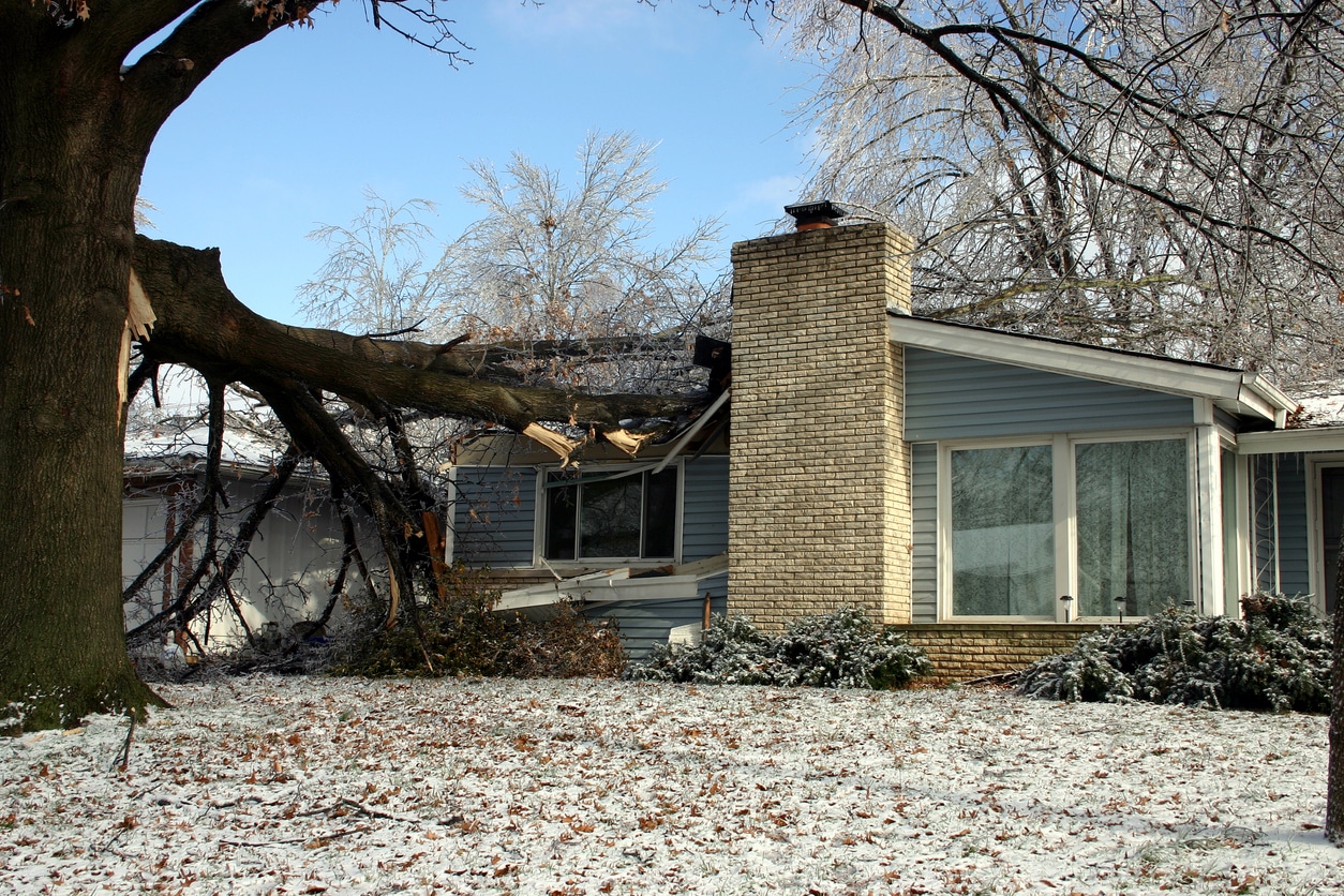 tree fallen on house requiring emergency tree services