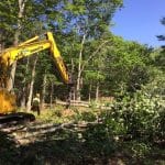 Professional Lot Clearing Services to Enhance Your Property Value in 2024