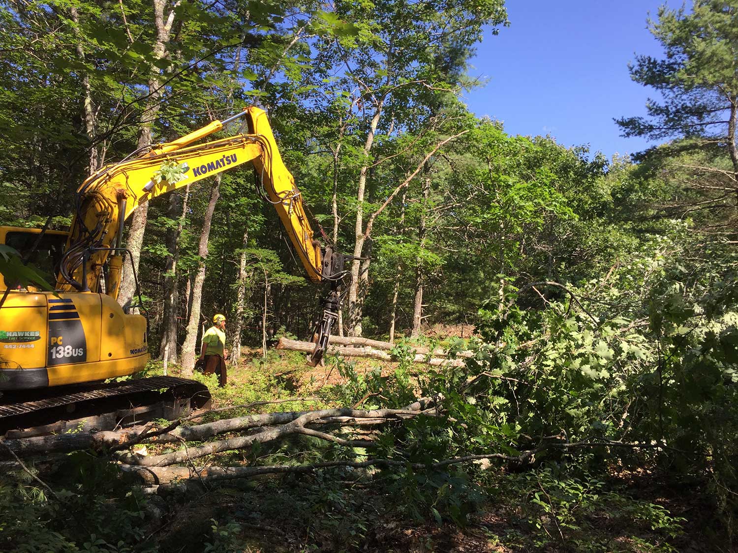 You are currently viewing Professional Lot Clearing Services to Enhance Your Property Value in 2024